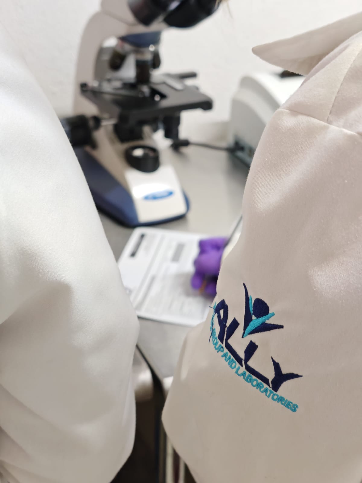 Laboratorio Ally